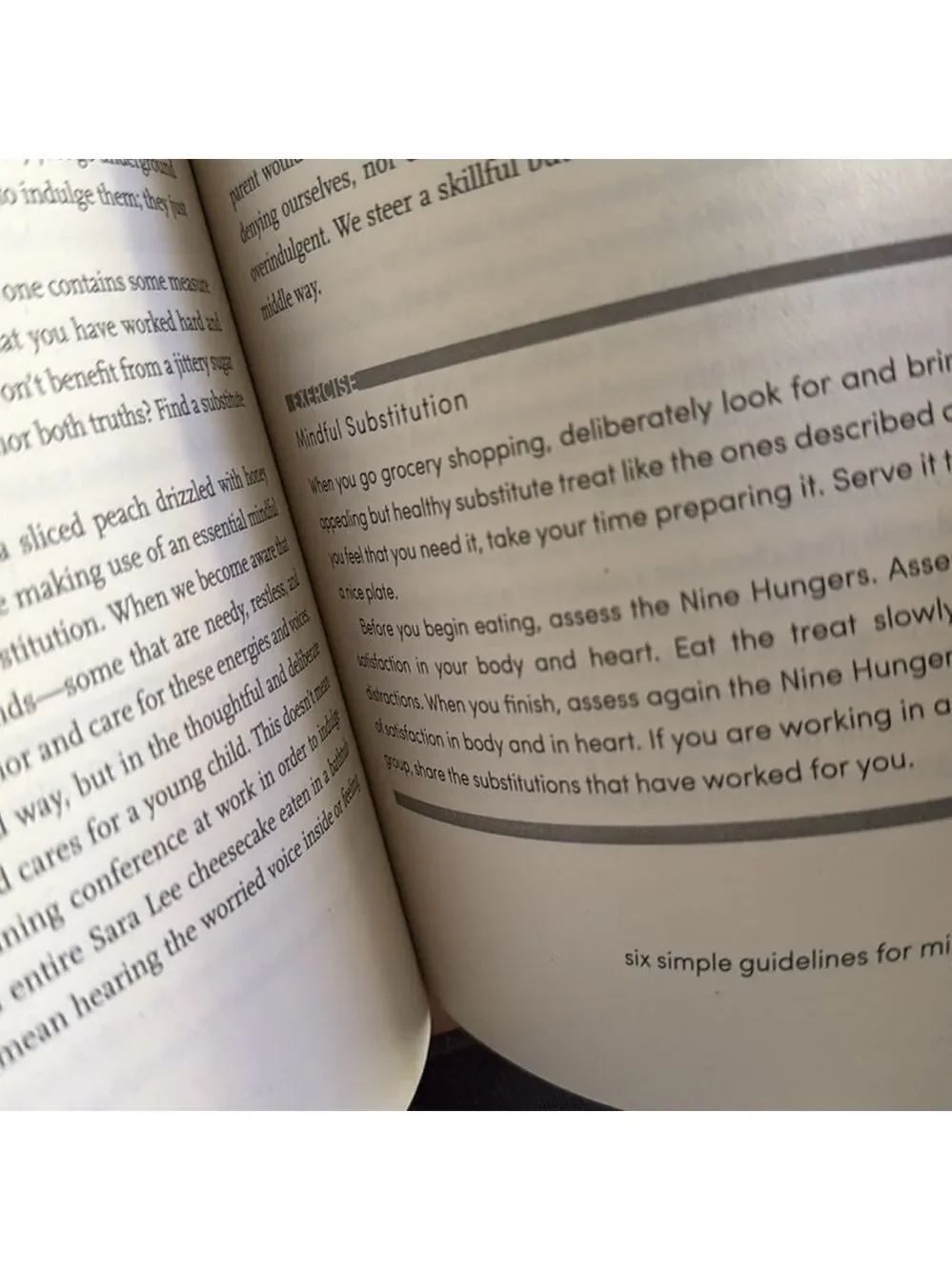 Mindful Eating Book by Jan Chozen Bays MD